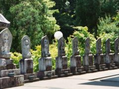 voy_tanguy_jap_3_012_10a.jpg