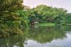 voy_tanguy_jap_4_024_23.jpg
