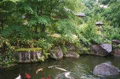 voy_tanguy_jap_8_007_5.jpg