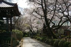 jap06_imgp0572.jpg