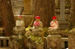 jap06_imgp0935.jpg