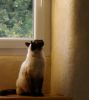 003-img005.jpeg